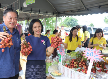 โครงการสนับสนุนการกระจายผลไม้เพื่อยกระดับราคาของสถาบันเกษตรกร ... พารามิเตอร์รูปภาพ 4